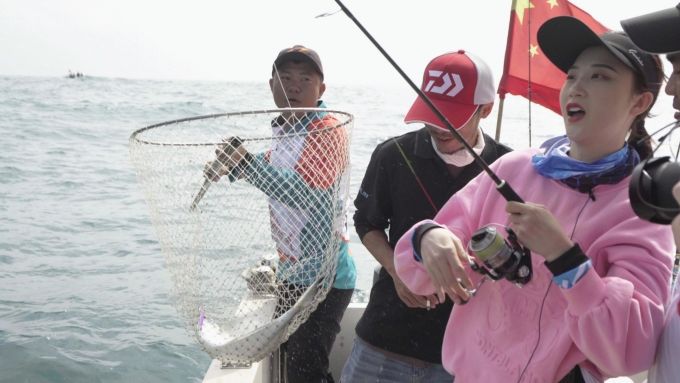 �������ʡ�w66(�й�)���������